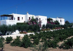 Marili Apartments Studios in Paros