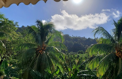 Kingstown Villa | New construction spacious villa with beautiful sunset view quick ride to beach!