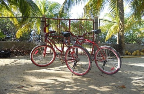 Caye Caulker Villa | OCEANFRONT ECO-CHIC HOME WITH INFINITY POOL, DOCK, AIR CONDITIONER & TV