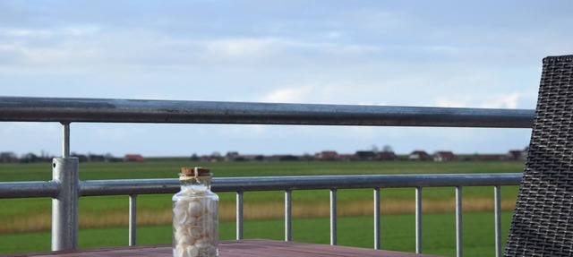 2 apartments in a DHH with sauna and a view of the countryside near the dike in Nessmersiel