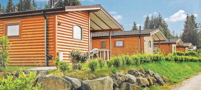 2 bedroom cozy home in Gerolstein in Gerolstein