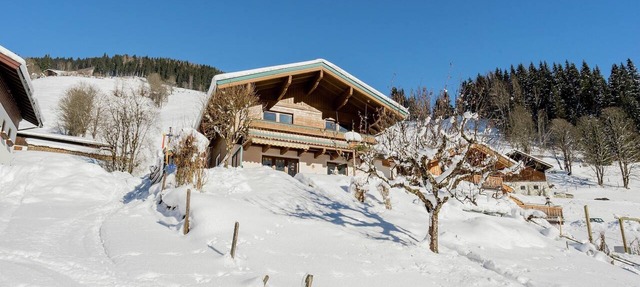 Apartment in Viehhofen near Ski Lifts in Saalbach - Hinterglemm