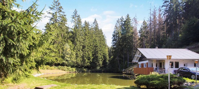 Awesome home in Schleusingen with sauna in Schleusingen