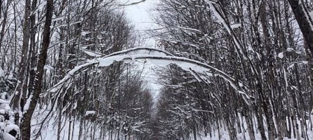 Beautiful Black Mountain Recreational Area Vacation Rental Cheboygan, MI in Cheboygan