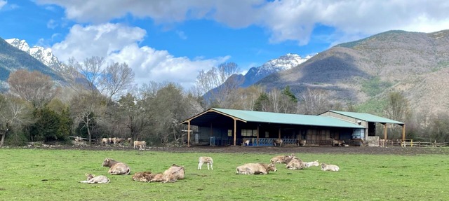 Bonito Duplex en Biescas ,entorno Rural a 20min Estacion Sky. Apta Mascotas in Orós Alto