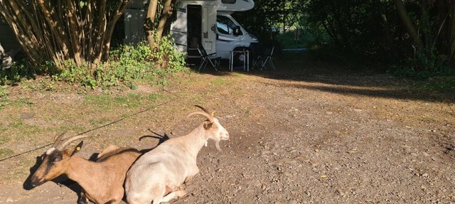 Camping: bring your tent or van in Feldkirchen bei Graz