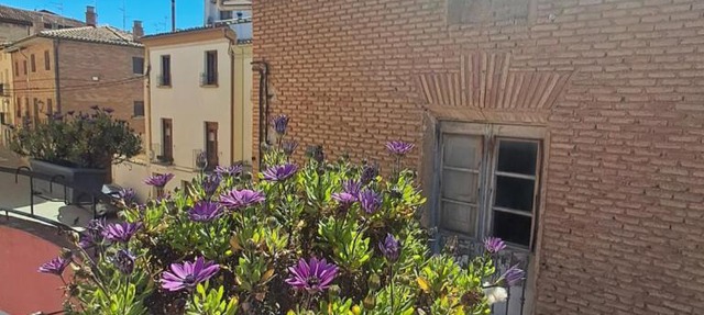 CASA ARQUEÑA - casa entera para grupos 10-14 personas in Los Arcos