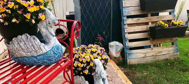 Charming entirely 2-bedroom villa close LRT&free parking with garden in Calgary