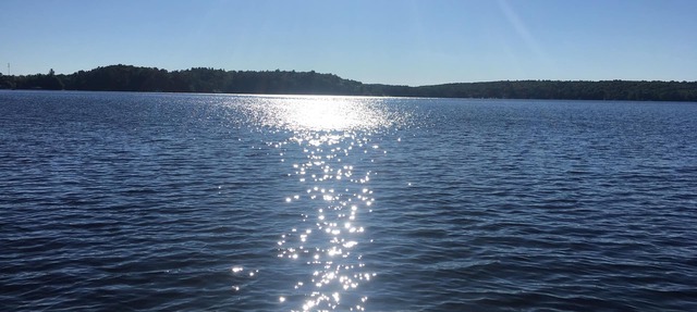 Charming Four Season Cottage on Lake Muskoka in Bracebridge