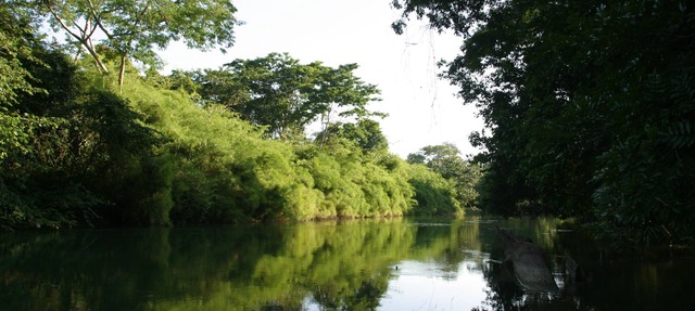 Cohune Palms River Cabanas: Private river cabanas just 2.5 mi from San Ignacio in San Ignacio