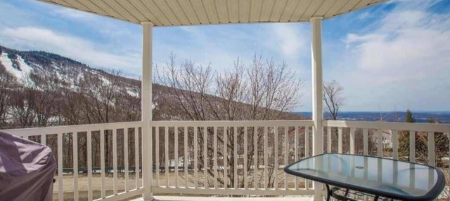Condo with spectacular view for monthly rental in Mont Sutton in Sutton