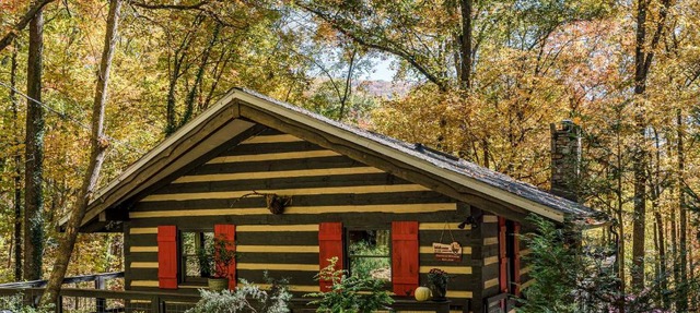 Dog-Friendly Cabin with Decks and Mountain Views! in Fairview