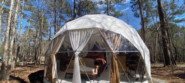 Forest Dome Near Lake Oconee | Artistic Design in Eatonton