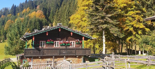 Haus Abendstille - Holiday home/2 bedrooms/Shower, WC in Ramsau am Dachstein