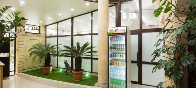 Hostel Teplo in Sochi