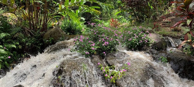 Inspired 1-BR, Magic Gardens, Stream and Waterfall in Honokaa