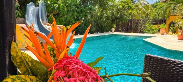 Luxury Bed And Breakfast With Pool in Hopkins