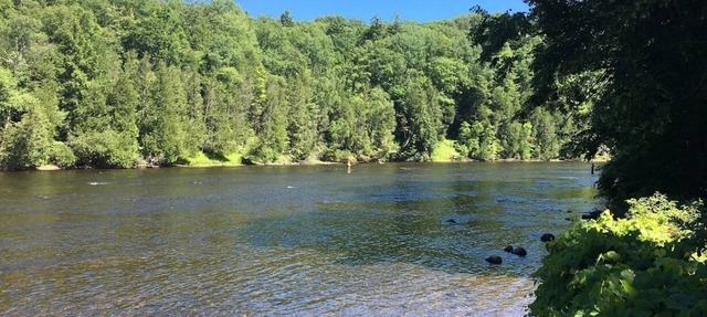 Muskegon River Front Cabin in Newaygo