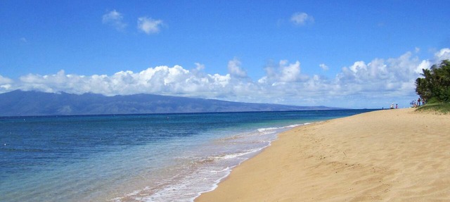 Now booking A-200 Kaanapali the World's Best Beaches & with Amazing Views & A/C. in Lahaina