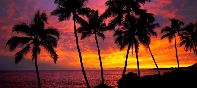 Oceanfront - Dolphin Retreat - KAYAKS INCLUDED in Captain Cook