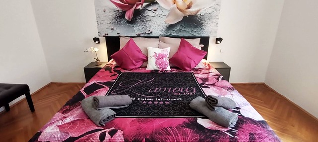 Orchidea Apartment Split in the center in Split