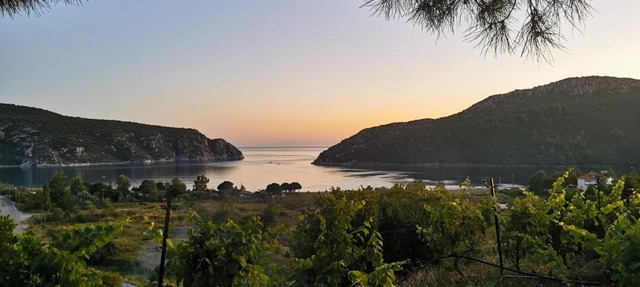 Porto Koufo Resort Bungalows in Porto Koufo