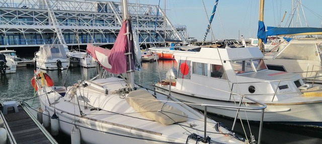 Racing Boat in Lisboa