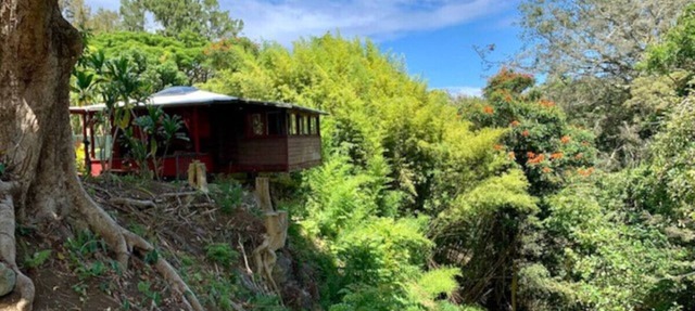 Romantic waterfall cabin in the rain forest in Honokaa