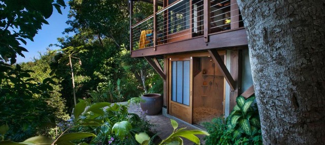 Secluded Romantic Oasis in St. John — Welcome to Teahouse Treehouse! in Coral Bay