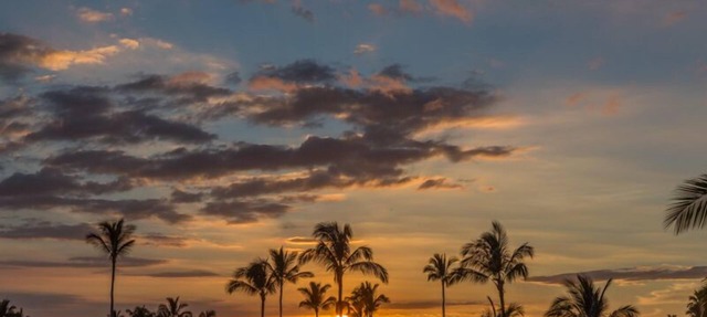 Waikoloa Beach Resort Hali'i Kai 7H Ocean View Private Club, Pool, Tennis/PB in Waikoloa