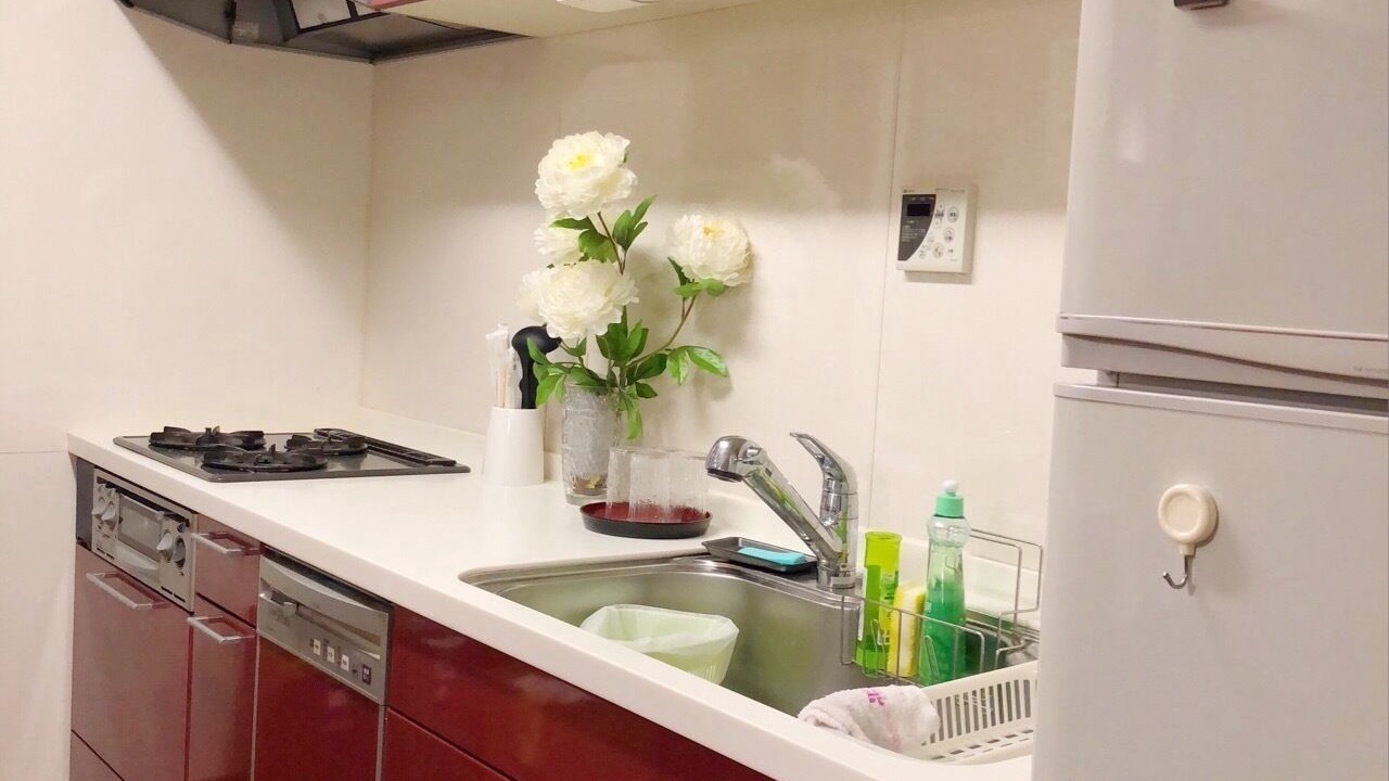 Photo of Kitchen in Hyakunincho