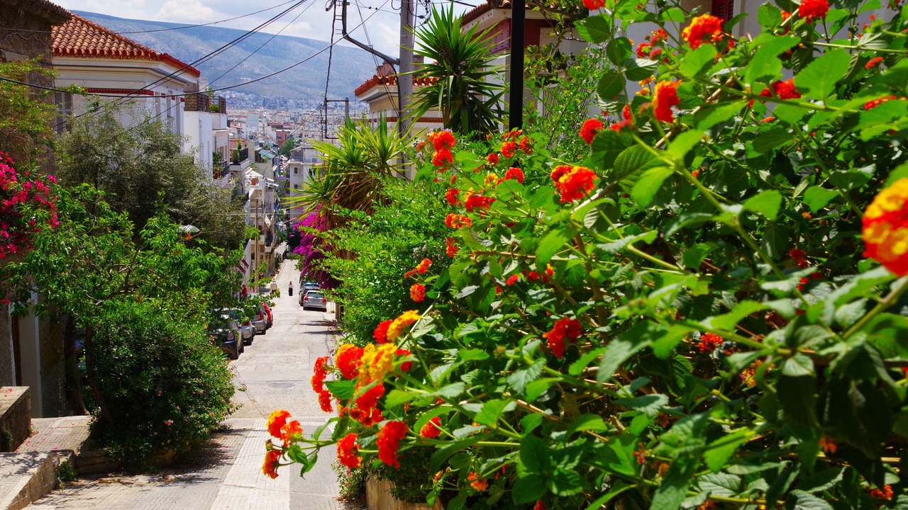 Photo of Outdoor in Koukaki