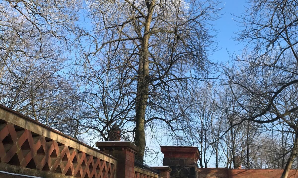 Photo of Outdoor in Neuruppin