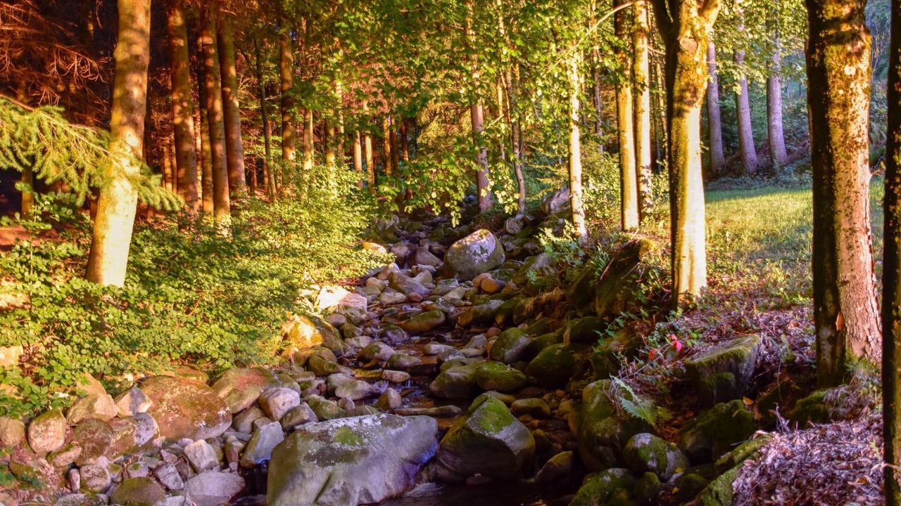 Photo of Outdoor in Strumpfelbrunn