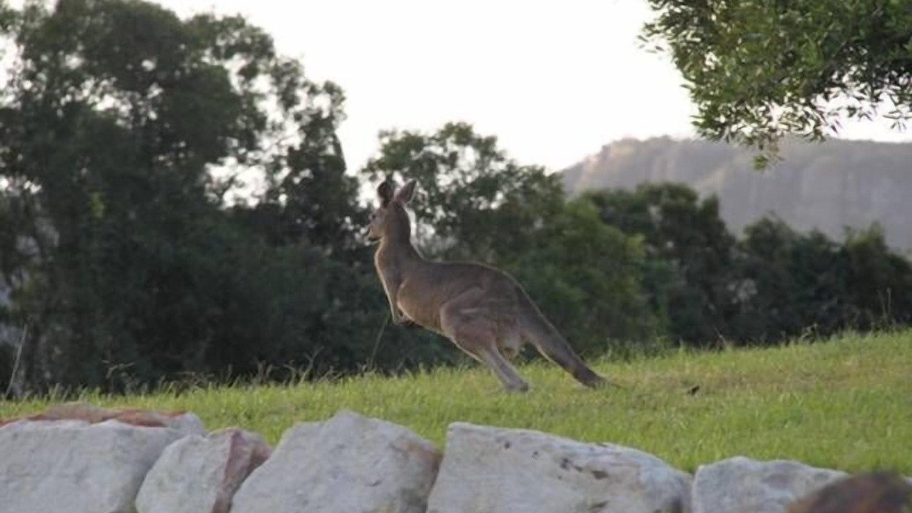 Photo of Outdoor in Foxground