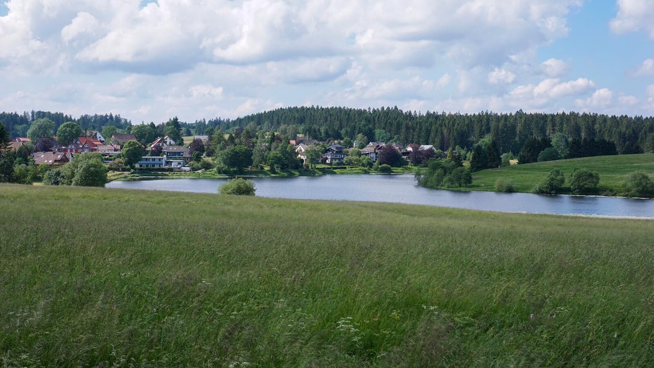Photo of Others in Buntenbock