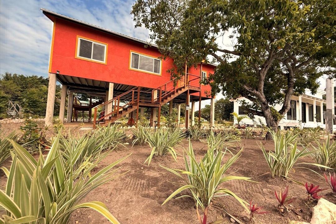 Photo of Others in Placencia