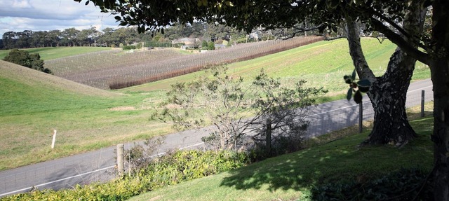 Heysen Hideaway - Adelaide Hills in Summertown