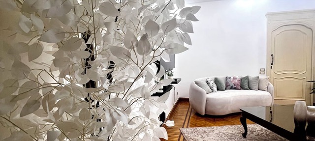 Luxury appartment Next to Four Seasons in Giza
